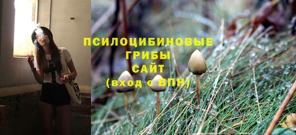 СК Арсеньев