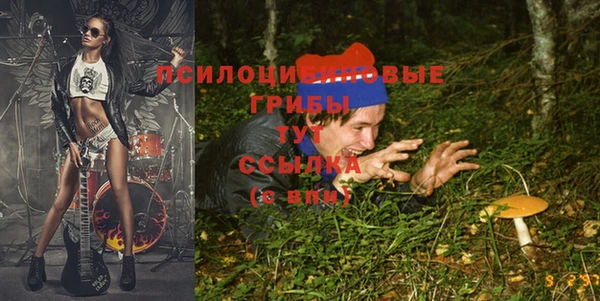 СК Арсеньев