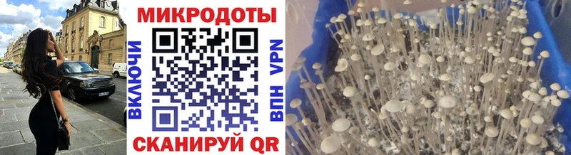 Галлюциногенные грибы GOLDEN TEACHER  где найти   Спасск-Рязанский 